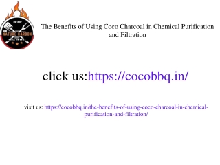 coco_charcoal_purification_article (1).pptx