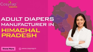 Adult Diapers Manufacturer In Himachal Pradesh