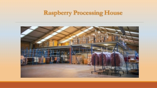 Expert Garment Alterations Specialists for Perfect Fit and Finish