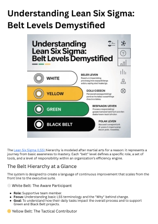Understanding Lean Six Sigma Belt Levels Demystified