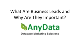 What Are Business Leads and Why Are They Important?