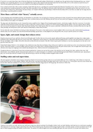 Dog Boarding Oakville: What Luxury Boarding Really Means