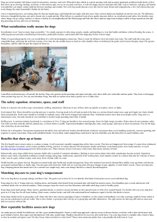 Top Benefits of Dog Daycare for Socialization and Safety