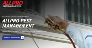 Professional Bed Bug Removal Service in Charleston, SC