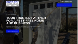 Effective Termite Treatment in Mt. Pleasant, SC