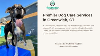 Premier-Dog-Care-Services-in-Greenwich-CT.pptx