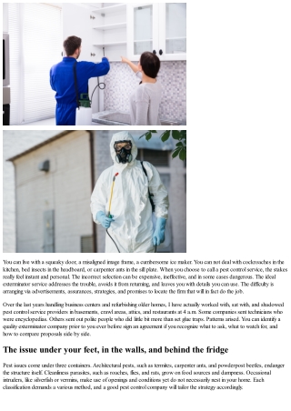 Picking the Right Exterminator Service: How to Contrast Pest Control Companies L