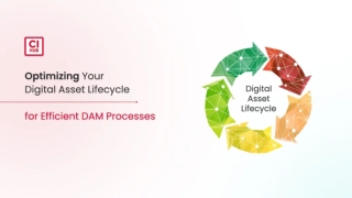Optimizing Your Digital Asset Lifecycle for Efficient DAM Processes
