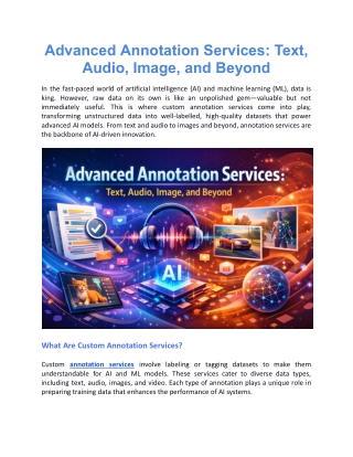 Advanced Annotation Services: Text, Audio, Image, and Beyond