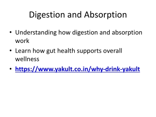 Digestion and Absorption for Better Gut Health & Wellness