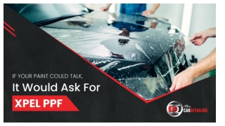 If Your Paint Could Talk, It Would Ask for XPEL PPF