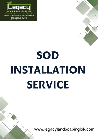 Get Affordable Sod Installation Service for New Lawns