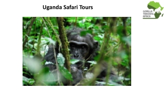 Uganda Safari Tours