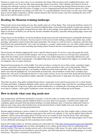 Dog Training Classes Houston: From Dog Obedience Group Classes to Agility—Find t