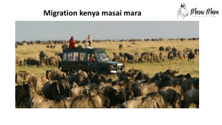 Migration kenya masai mara