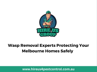 Wasp Removal Experts Protecting Your Melbourne Homes Safely