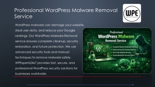 wordpress-malware-removal-service-wpexperts24x7