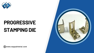 Progressive Stamping Die (5)