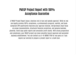 PMEGP Project Report with 100% Acceptance Guarantee 