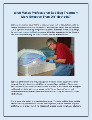 What Makes Professional Bed Bug Treatment More Effective Than DIY Methods
