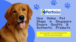 How Online Pet Shops Singapore Ensure Quality & Authentic Products