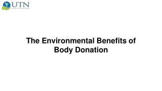 8 Memorialization Ideas After Cremation