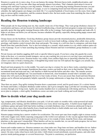 Dog Training Classes Houston: From Dog Obedience Group Classes to Agility—Find t