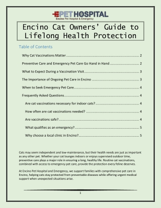Encino Cat Owners’ Guide to Lifelong Health Protection