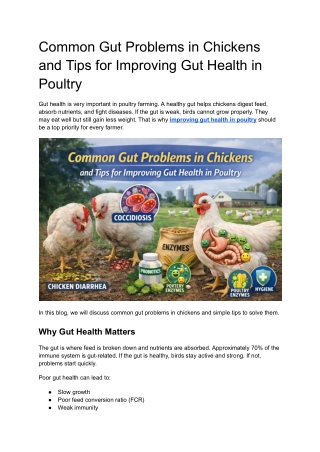 Common Gut Problems in Chickens and Tips for Improving Gut Health in Poultry