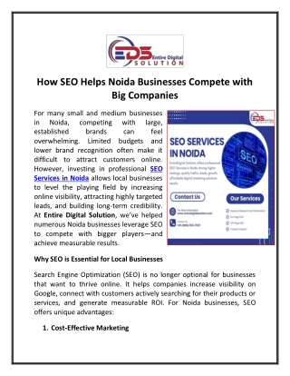 How SEO Helps Noida Businesses Compete with Big Companies