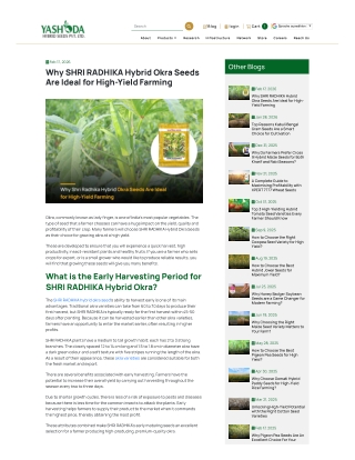 Why SHRI RADHIKA Hybrid Okra Seeds Are Ideal for High-Yield Farming