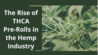 The Rise of THCA Pre-Rolls in the Hemp Industry