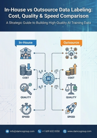 In-House vs Outsource Data Labeling Cost, Quality & Speed Comparison