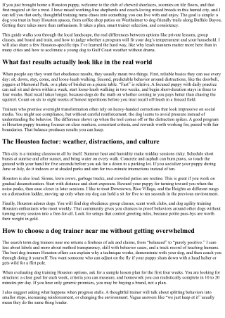 Houston Puppy Training Guide: Find the Best Dog Trainer Near Me for Fast Obedien