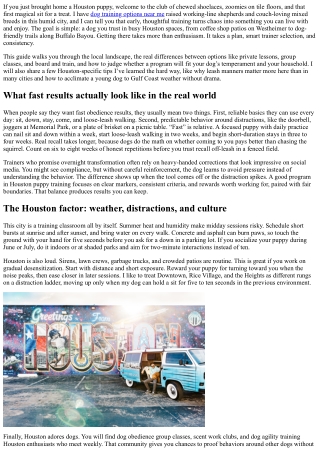 Houston Puppy Training Guide: Find the Best Dog Trainer Near Me for Fast Obedien