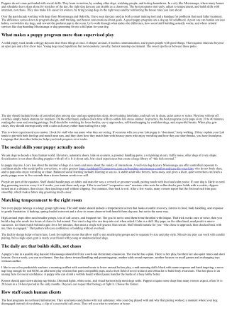 Dog Daycare Mississauga: Puppy Programs and Social Skill Building