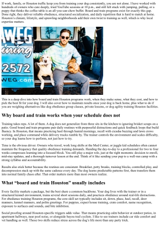 Board and Train Houston: The Ultimate Solution for Busy Owners Seeking Reliable