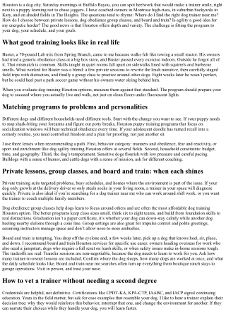 Best Dog Training in Houston: Obedience, Puppy Basics, and Agility Options Near