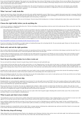 Cat Boarding Mississauga: How to Prepare a Nervous Cat