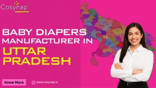 Baby Diapers Manufacturer In Uttar Pradesh