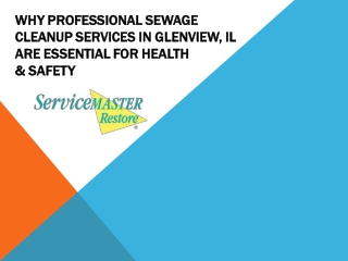 Why Professional Sewage Cleanup Services in Glenview IL Are Essential for Health  Safety