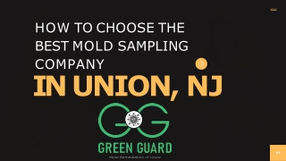 How to Choose the Best Mold Sampling Company