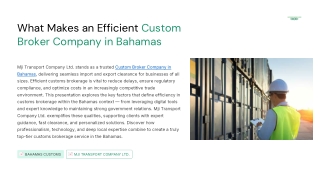 What Makes Efficient Custom Broker Company in Bahamas