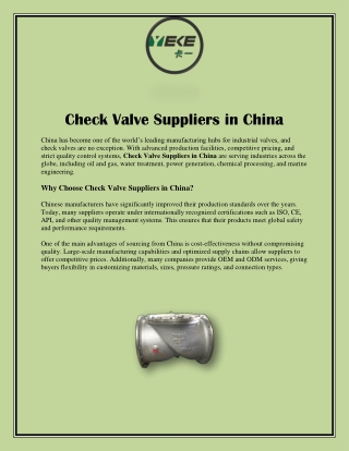 Check Valve Suppliers in China