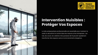 Intervention nuisibles pour un cadre sain