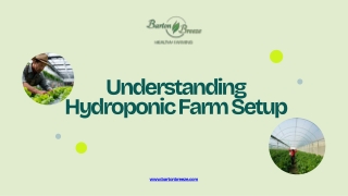 Hydroponic Farm Setup Solutions by Barton Breeze