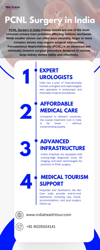 PCNL Surgery in India