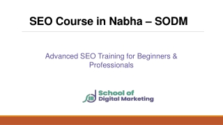 Top SEO Course in Nabha – Job-Oriented Training | School Of Digital Marketing