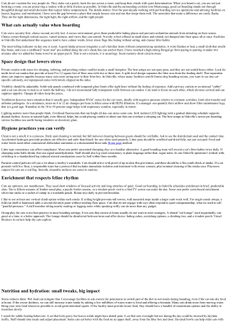 Cat Boarding Oakville: Amenities That Make a Difference