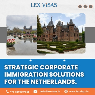 Work Visa to Netherlands for Indians | Netherlands Work Visa | Lex Visas
